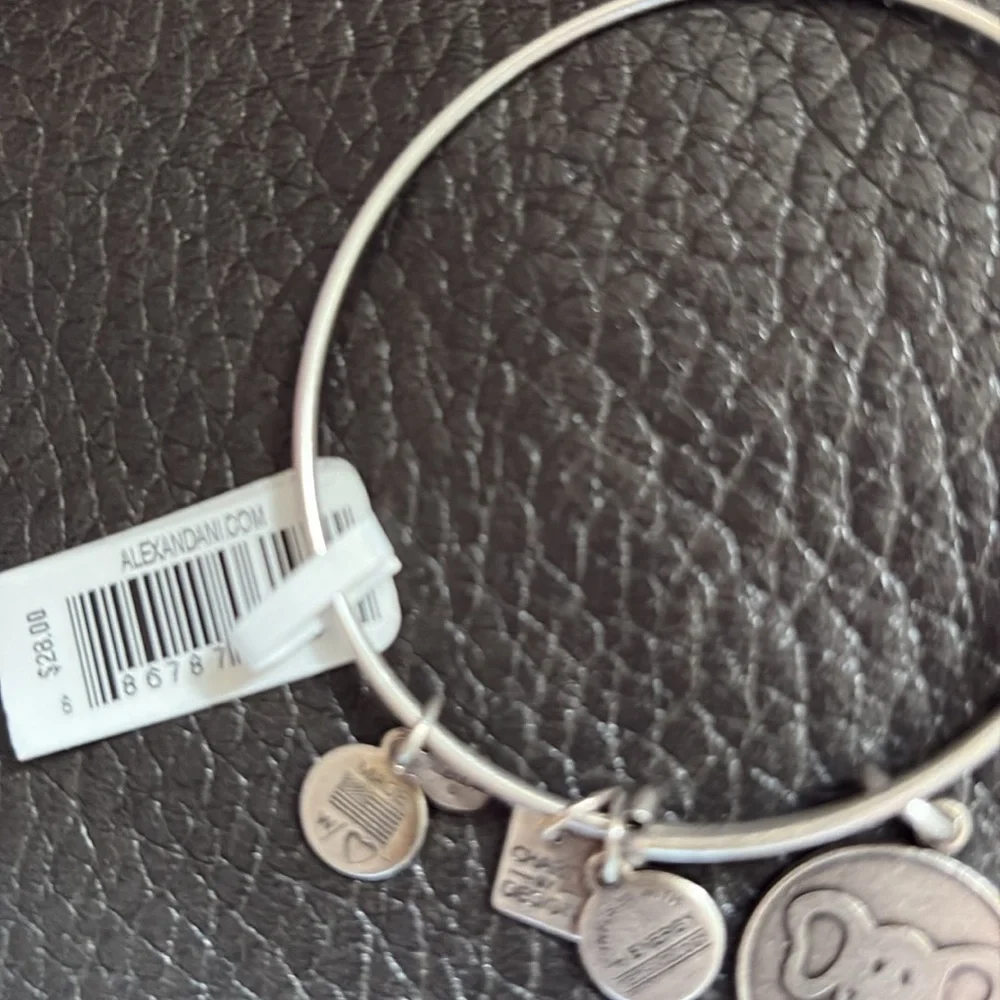 Alex and Ani Silver distressed look Elephant Charm Bracelet